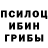 Псилоцибиновые грибы Magic Shrooms Julian Maragno
