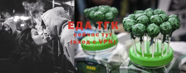 крисы Алзамай