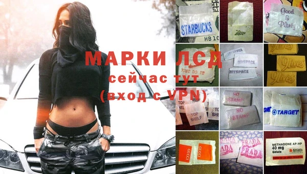 крисы Алзамай