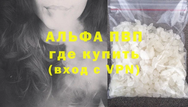 крисы Алзамай